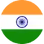 in flag logo
