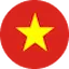 vi flag logo